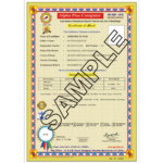 Alpha Plus Certificate Sample